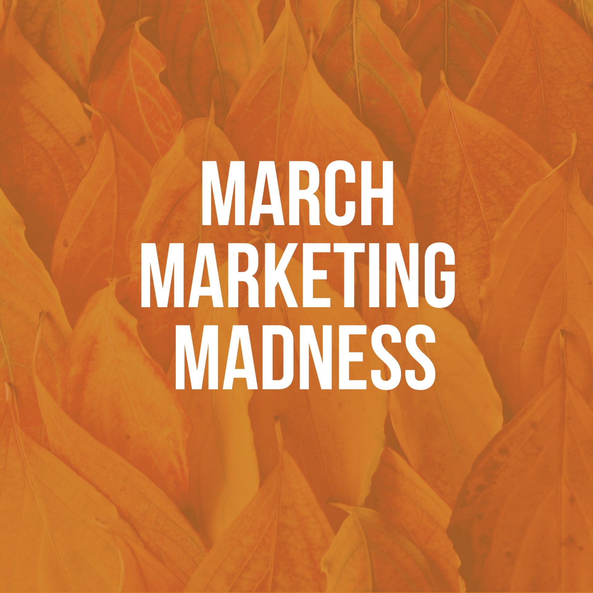 March Marketing Madness challenge group